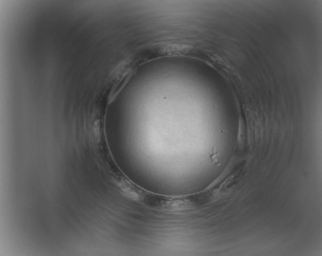 X0000067830716200604201215