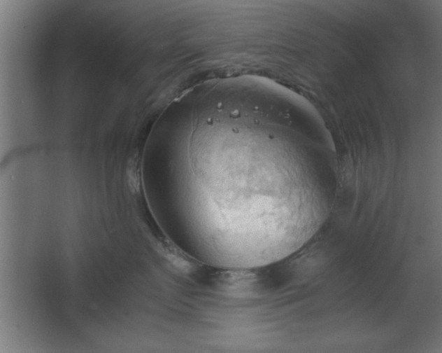 X0000067830719200604201215