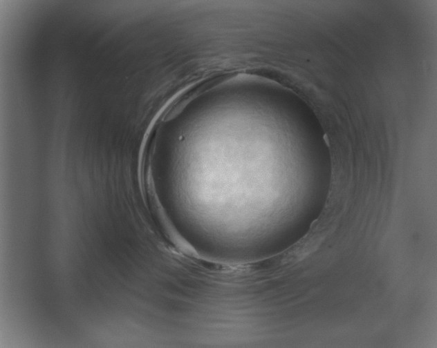 X0000067830720200604201215