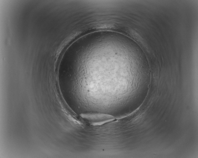 X0000067830721200604201214