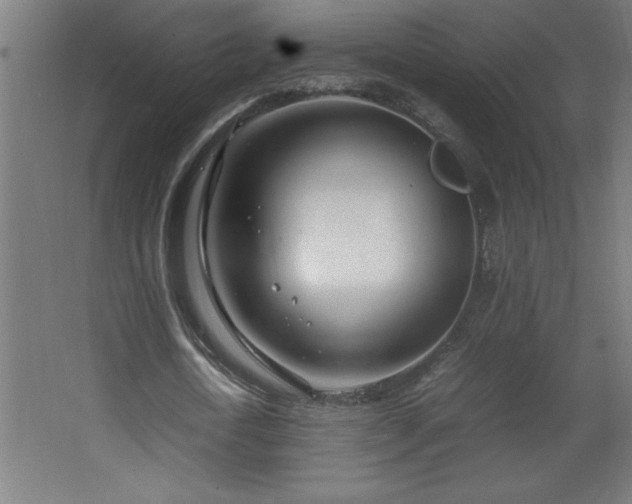 X0000067830722200604201214