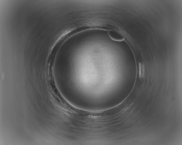 X0000067830723200604201214