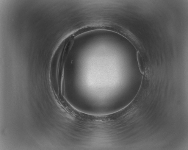 X0000067830724200604201214