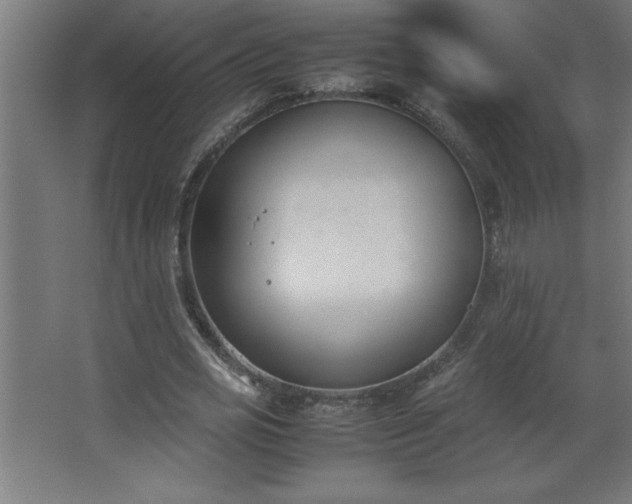 X0000067830725200604201215