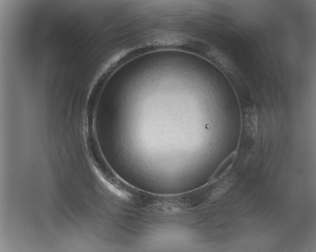 X0000067830726200604201215