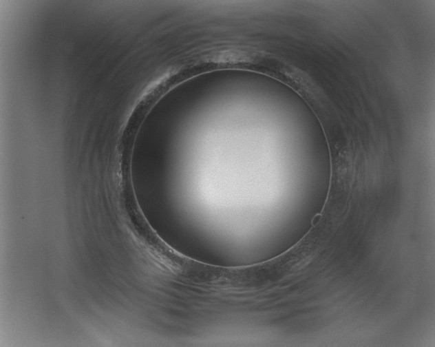 X0000067830727200604201215