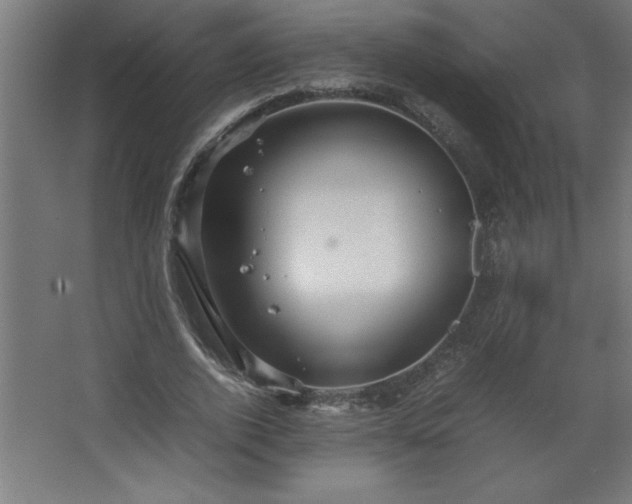 X0000067830728200604201215