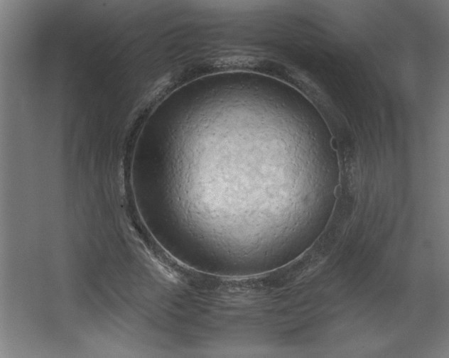 X0000067830729200604201215