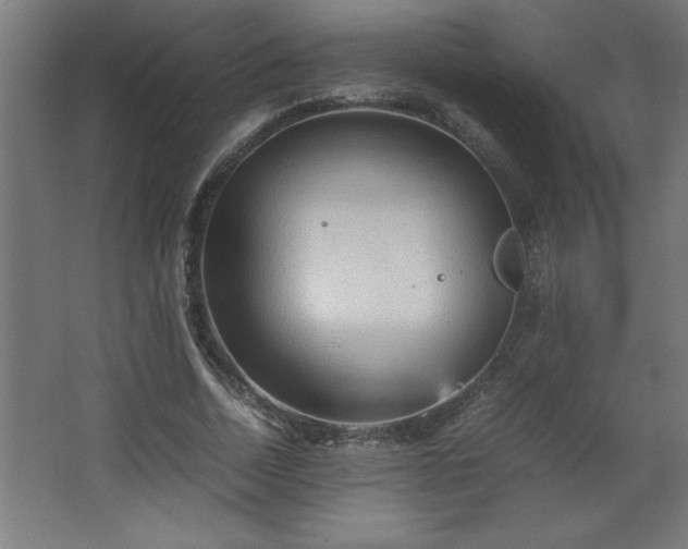 X0000067830730200604201215