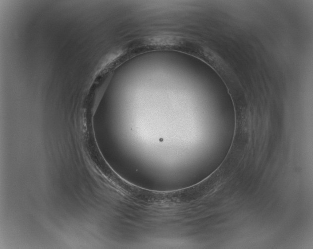 X0000067830731200604201215