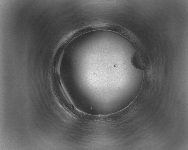 X0000067830732200604201215