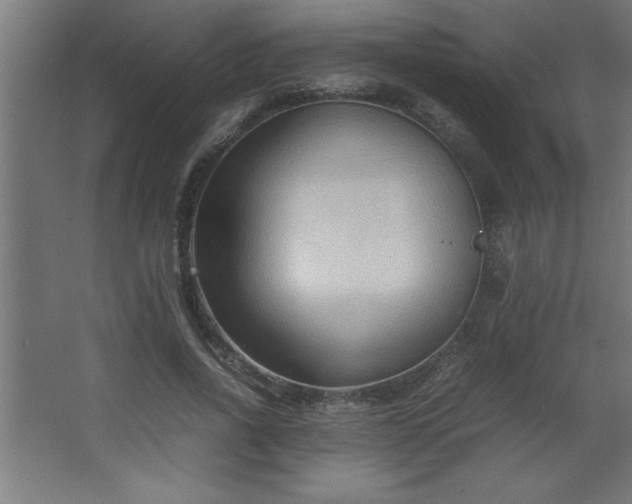 X0000067830734200604201215