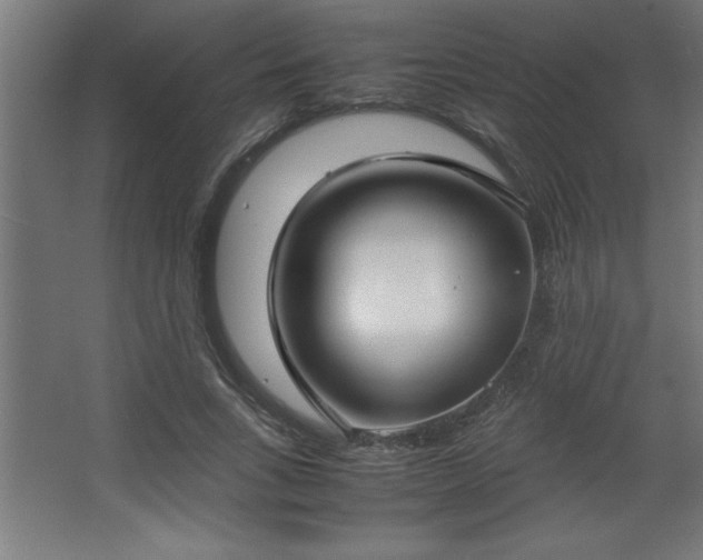 X0000067830735200604201215