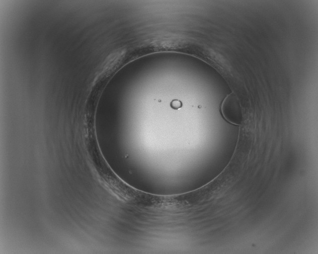 X0000067830738200604201215