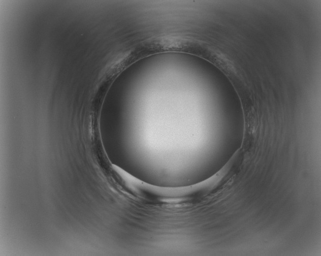 X0000067830740200604201215