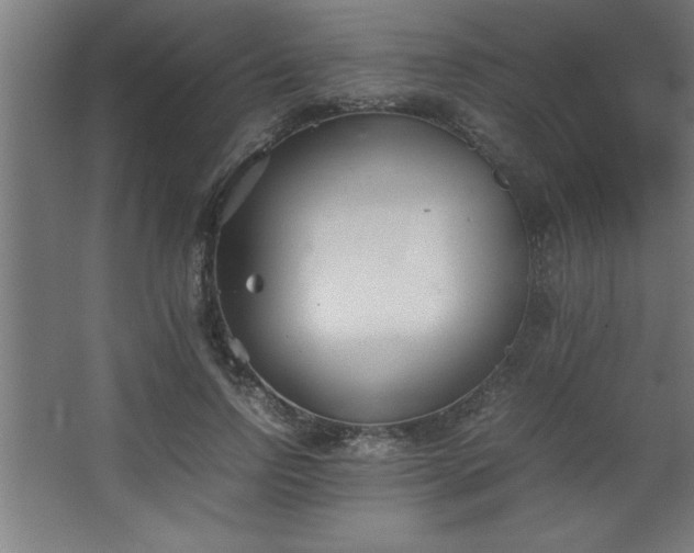 X0000067830742200604201215