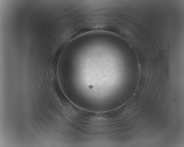 X0000067830743200604201215