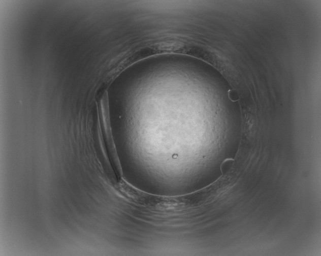 X0000067830745200604201215