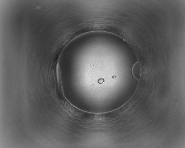 X0000067830746200604201215