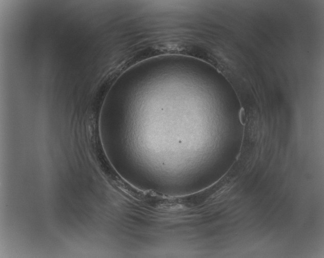 X0000067830747200604201215