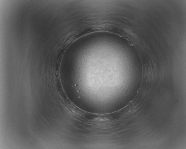 X0000067830749200604201215