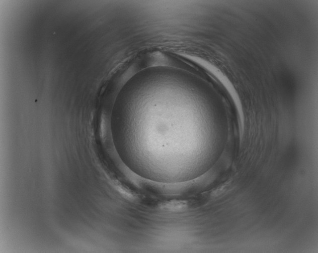 X0000067830750200604201215