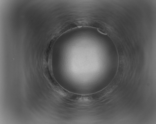 X0000067830751200604201215