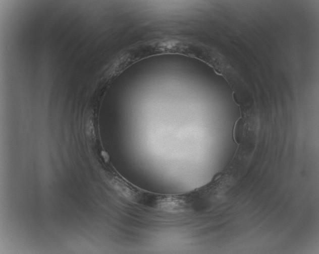 X0000067830754200604201215