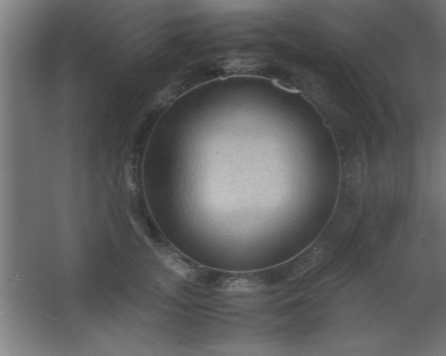 X0000067830755200604201215