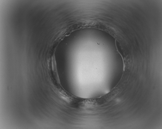 X0000067830756200604201215