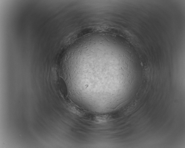 X0000067830757200604201215