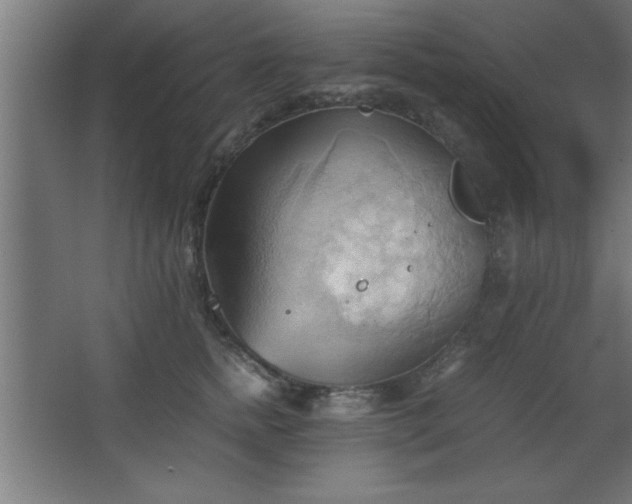 X0000067830758200604201215