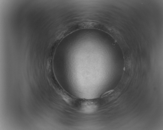 X0000067830759200604201215