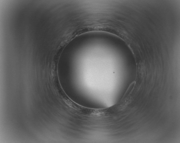 X0000067830760200604201215