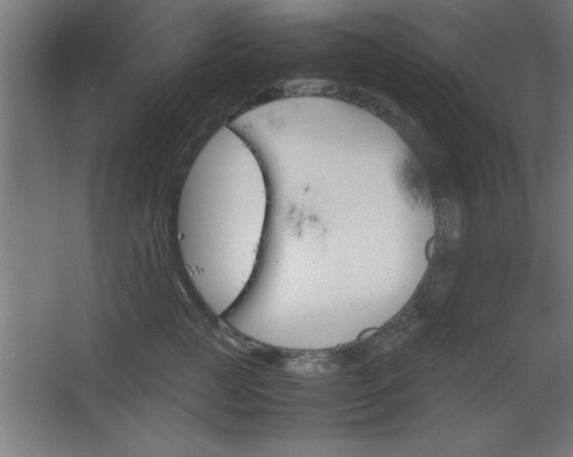 X0000067830761200604201215