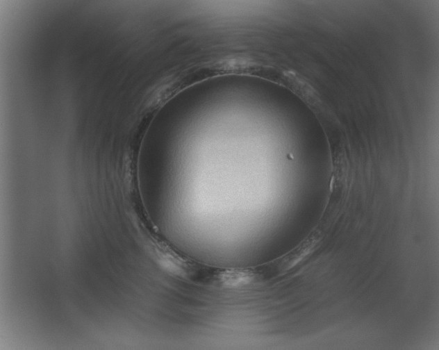 X0000067830762200604201215