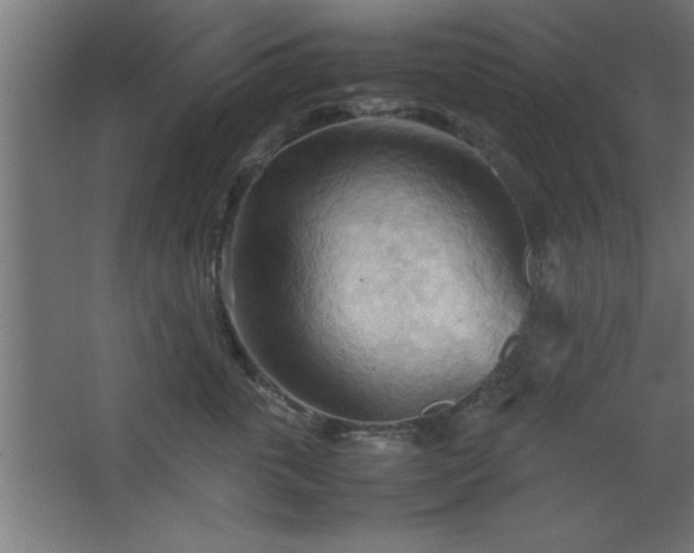 X0000067830763200604201215