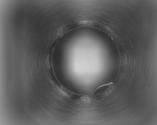 X0000067830764200604201215