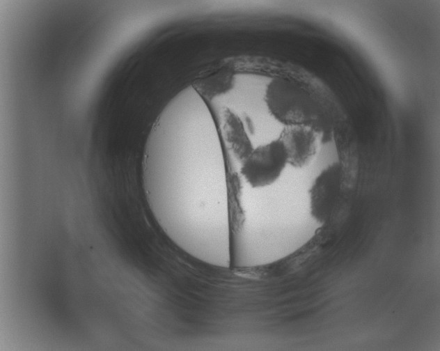 X0000067830765200604201215