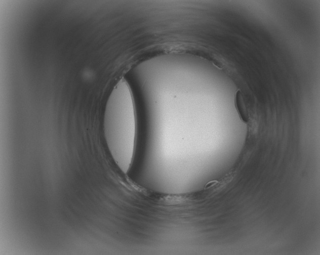 X0000067830766200604201215