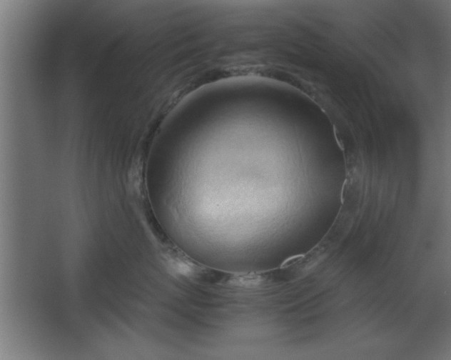 X0000067830767200604201215