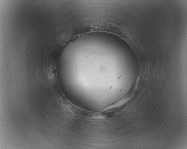 X0000067830770200604201214