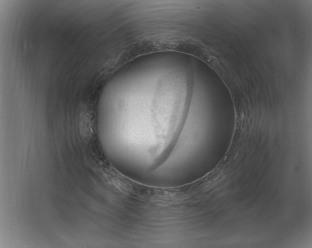 X0000067830772200604201214