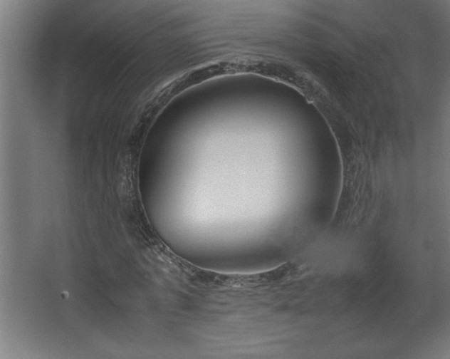 X0000067830773200604201214