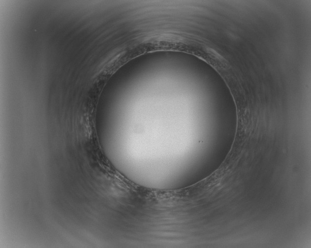 X0000067830774200604201214