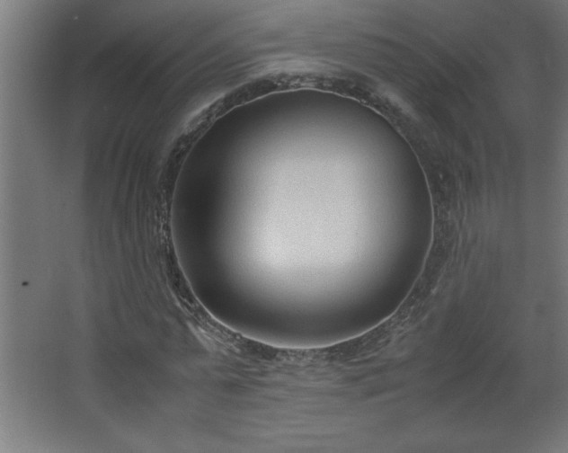 X0000067830775200604201214