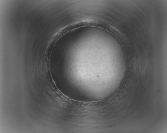 X0000067830776200604201214