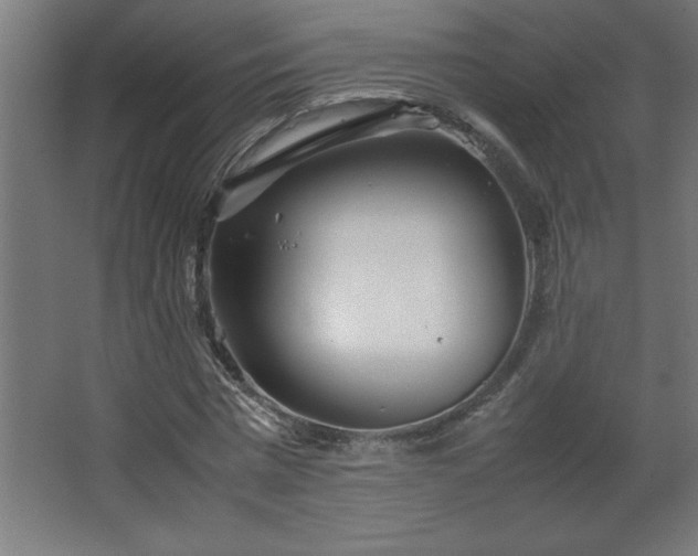 X0000067830777200604201214