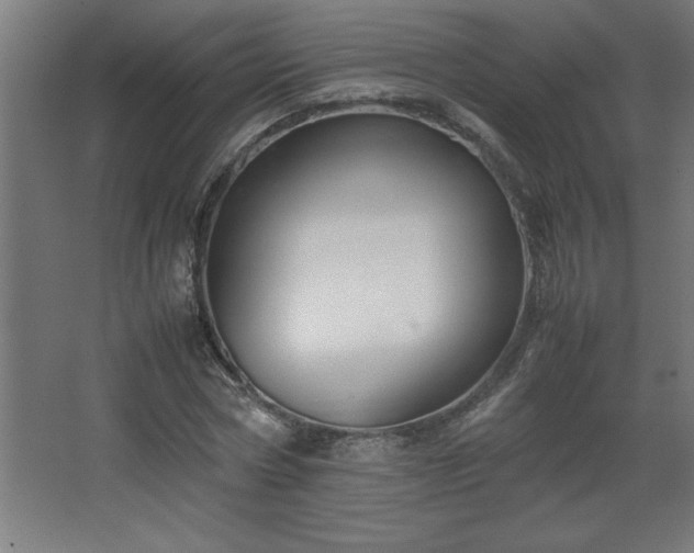 X0000067830778200604201214