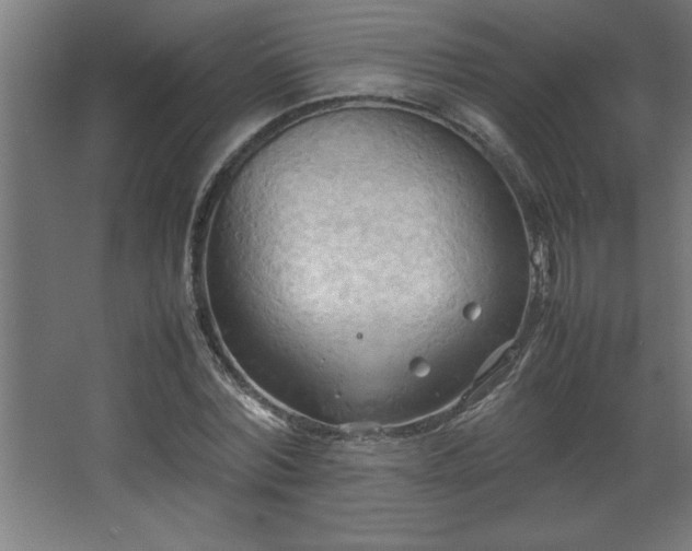 X0000067830780200604201214